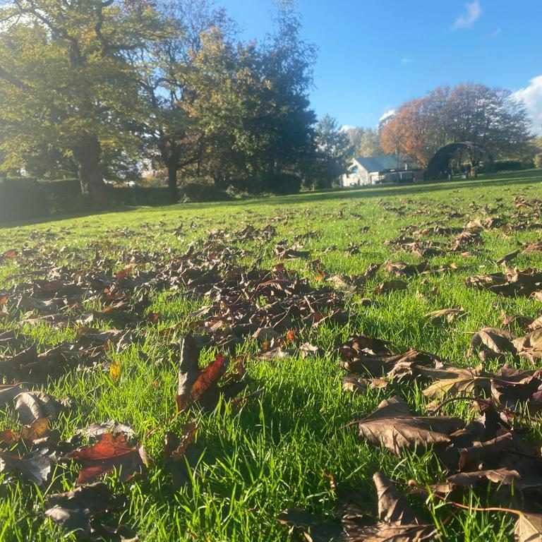autumn Short Term Psychotherapy | Stratford-upon-Avon | Revel Phoenix